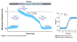 Figure 1. Cardiac Action Potential Phases
Figure 2. VOLTA Scanner’s high-resolution sampling rate