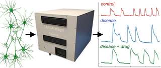 Figure 1: TARGA implementation for NGN2-neurons calcium imaging workflow