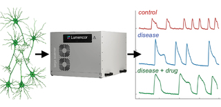 Figure 1: TARGA implementation for NGN2-neurons calcium imaging workflow