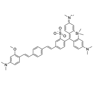 BeRST Voltage Sensitive Dye Structure