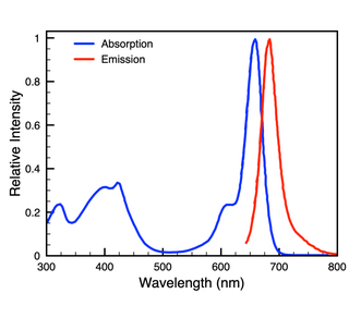 Absorption and emission spectra of BeRST in aqueous buffer (50 mM TBS, pH 7.5, 0.1% SDS)
