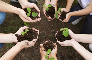 Volunteers with young plants outdoors