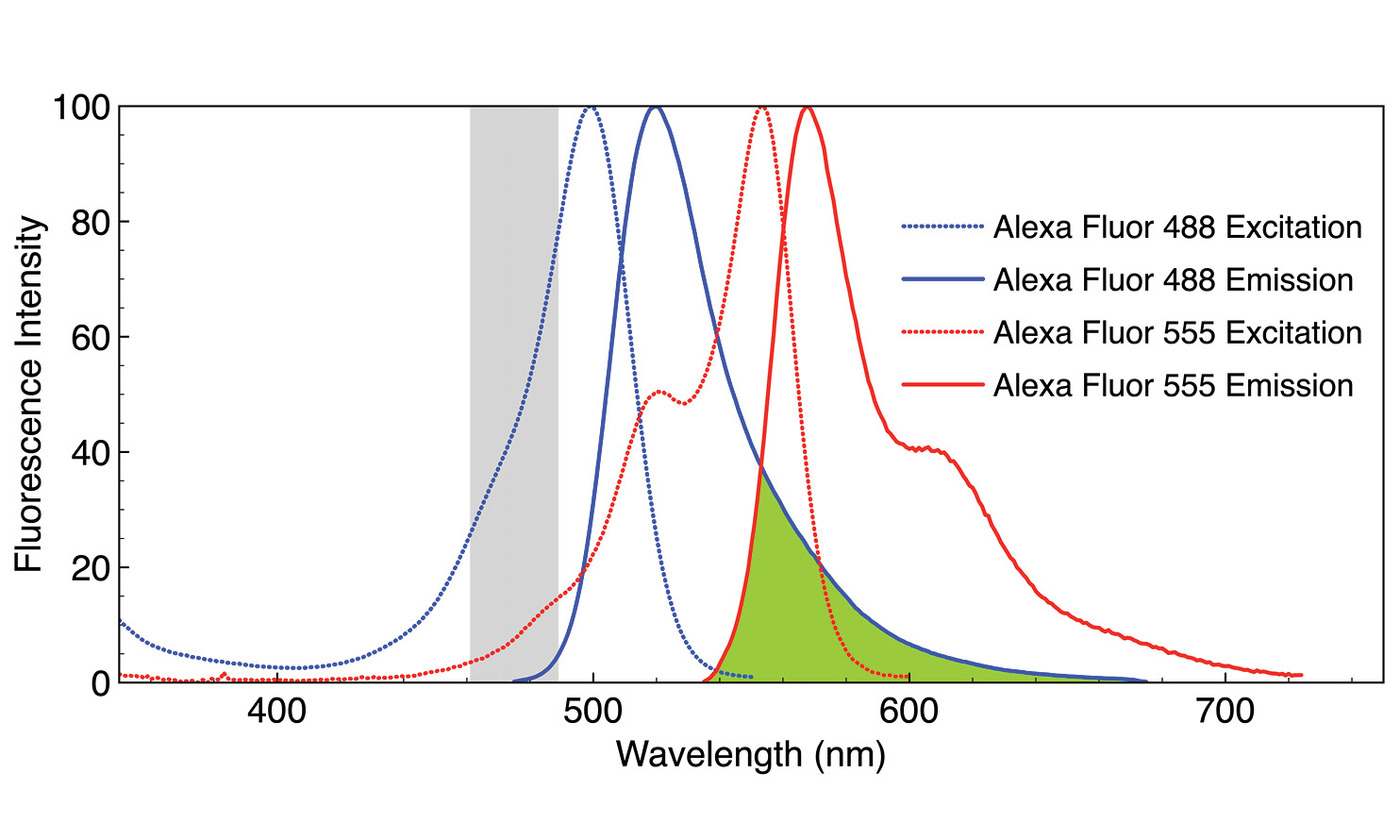 White Paper: Solid-State Illumination for Multiplexed Fluorescence ...