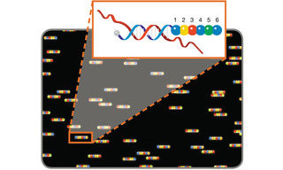 Figure 4. Molecular barcode scanning for gene expression analysis. A scanner with excitation and emission filters tuned for discrimination of 4 dyes represented by blue, green, yellow and red circles, reads the fluorescence signal from probe positions 1 to 6 to reveal the coded identity of the hybridized nucleic acid target.
