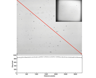 Figure 6. Uniform fluorescent glass imaged with a CELESTA Light Engine (Lumencor, Inc., Beaverton, OR) coupled by an 800 µm diameter optical fiber to a critical epi-illuminator installed in a Nikon Ti/Ti2 microscope. Image capture using Nikon 60X/1.4 NA Plan Apo objective and an Andor Zyla 5.5 (2560 x 2160 pixels) sCMOS camera. The plot shows the gray level values recorded by the camera along the diagonal axis marked in red. The inset in the upper right hand corner shows the same sample imaged with a Nikon 10X/0.3 NA Plan Apo objective.