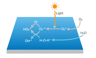 Dry photooxidation (DPO) and water-accelerated photooxidation (WPO) pathways generating hydroperoxyl radical, superoxide radical and hydroxyl ion reactive oxygen species that give rise to halide perovskite decomposition.