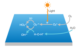 Dry photooxidation (DPO) and water-accelerated photooxidation (WPO) pathways generating hydroperoxyl radical, superoxide radical and hydroxyl ion reactive oxygen species that give rise to halide perovskite decomposition.